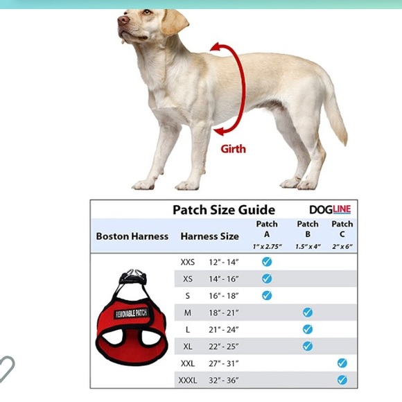 NWOT Boston Mesh Harness + Built-in Hook & Loop Fastener with reflector strips - Picture 5 of 7